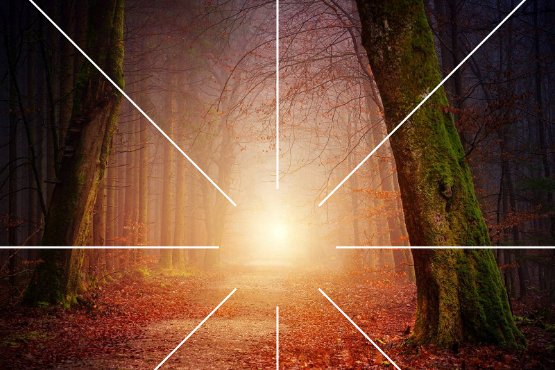 Composition in photography tunnel