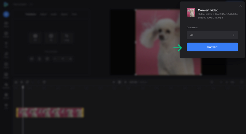 Convert video to GIF