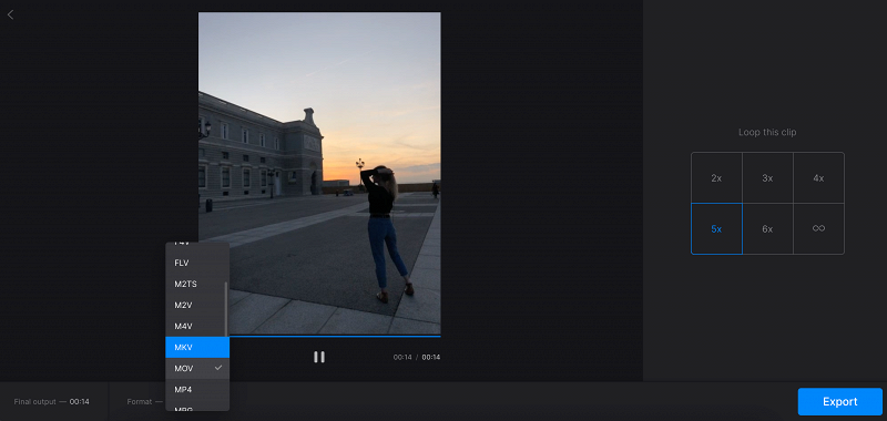 Convert video to not GIF format