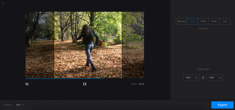Adjust or crop video on Windows
