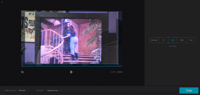 Crop the YouTube video by selecting the aspect ratio