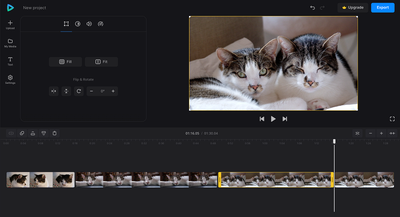 Cut funny pet video