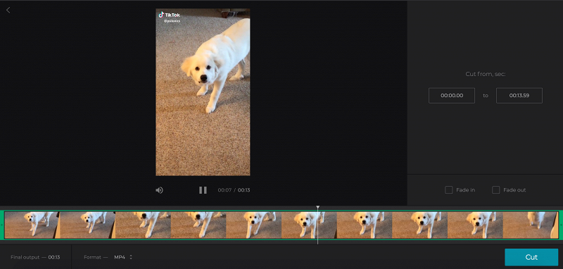 Cut the TikTok video if necessary