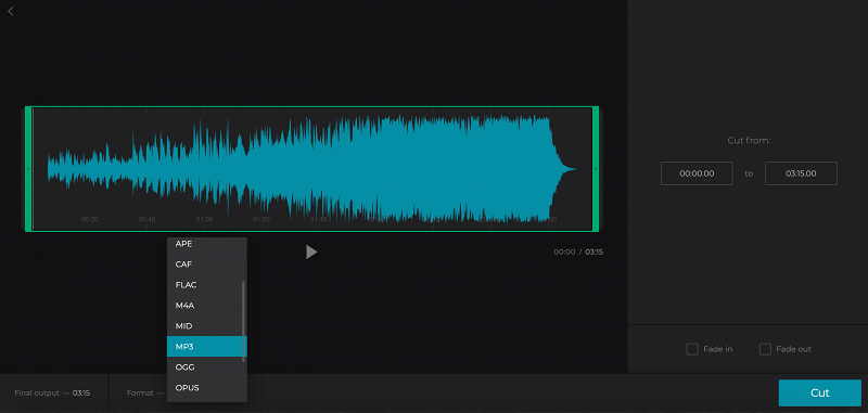 Cut the audio if needed and choose MP3 format
