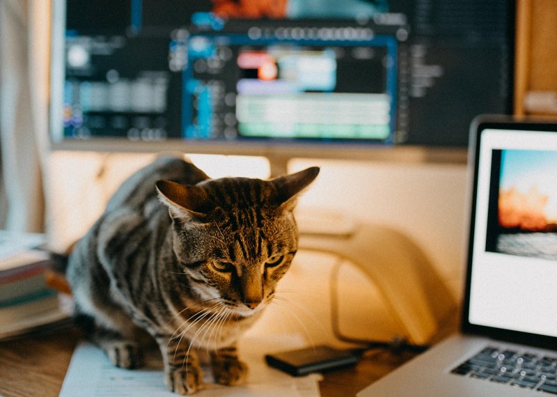 Desktop and online video editing