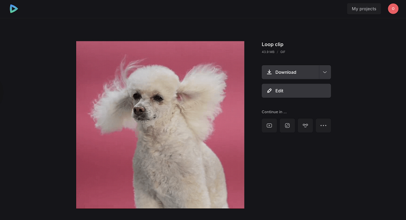 Download file from video looper