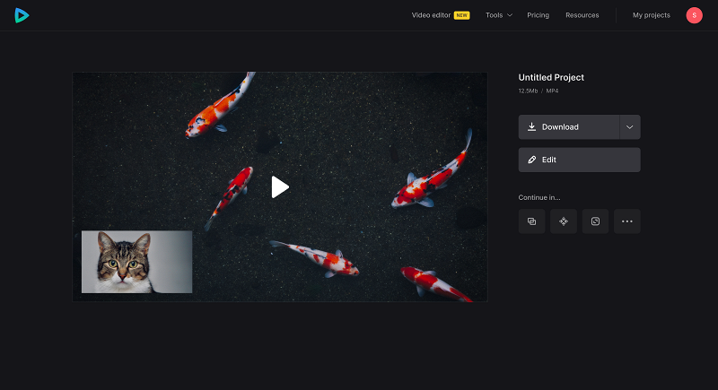 Download screen and webcam recording