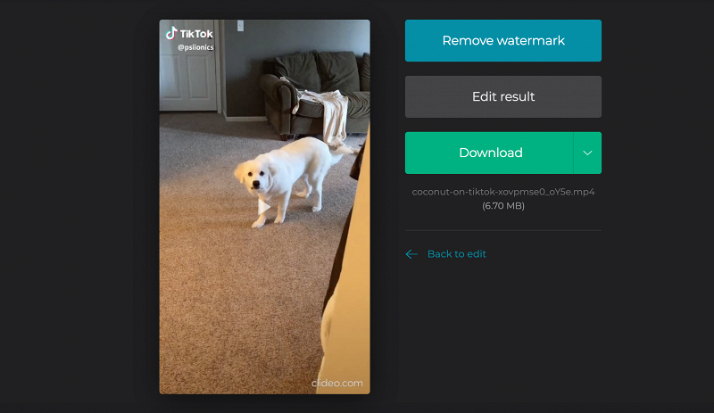Save the TikTok video to your device