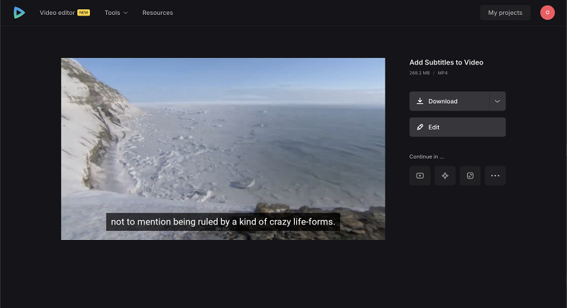 Download video with embedded video transcription