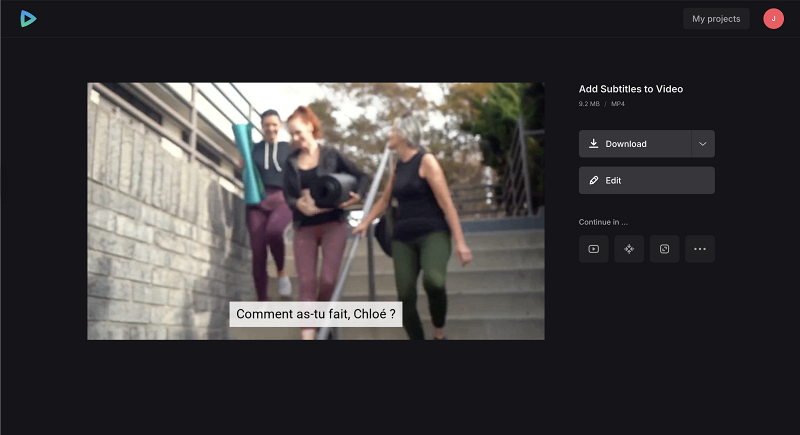 Download video with translated subtitles