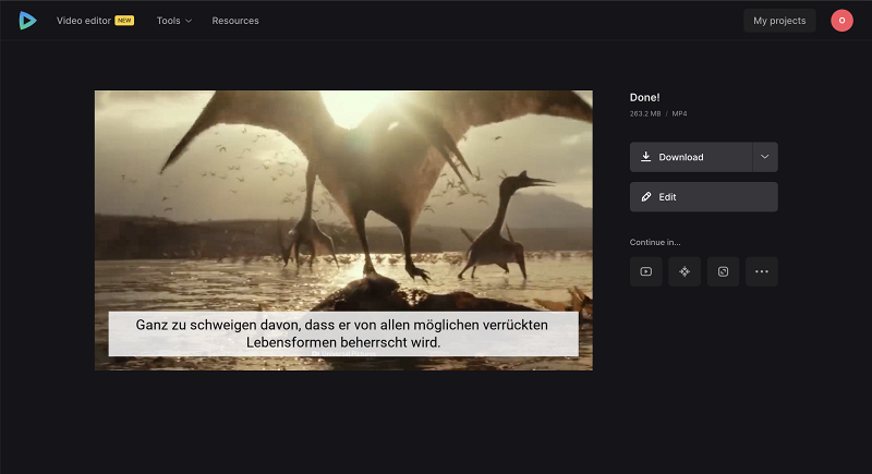 Download video with translated subtitles