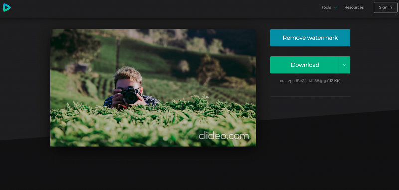 Download your image with converted DPI