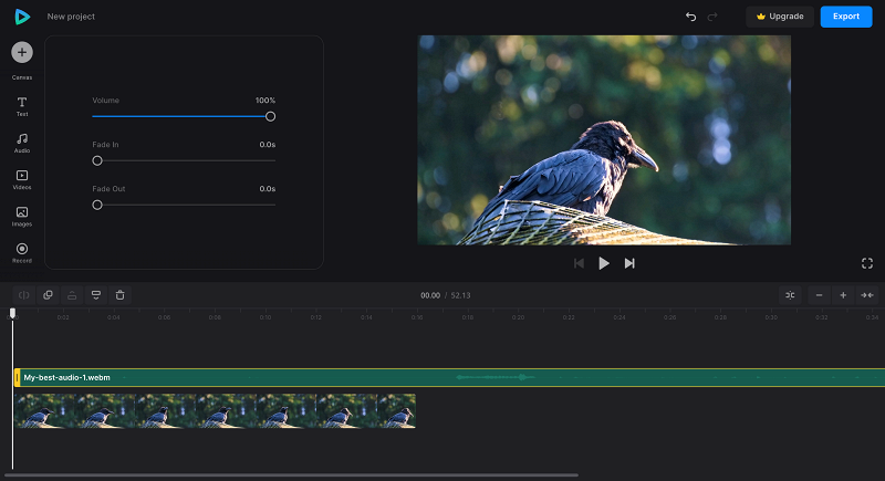 Edit video with recorded audio