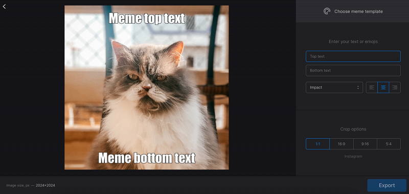 Insert text for your own custom meme