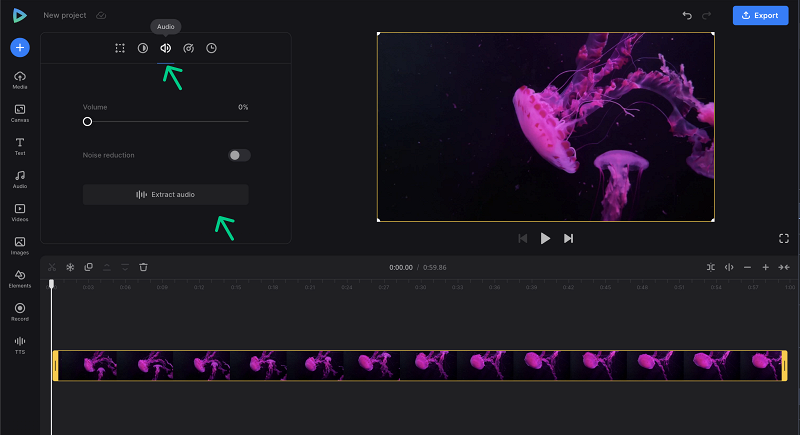 Extract audio to change audio speed