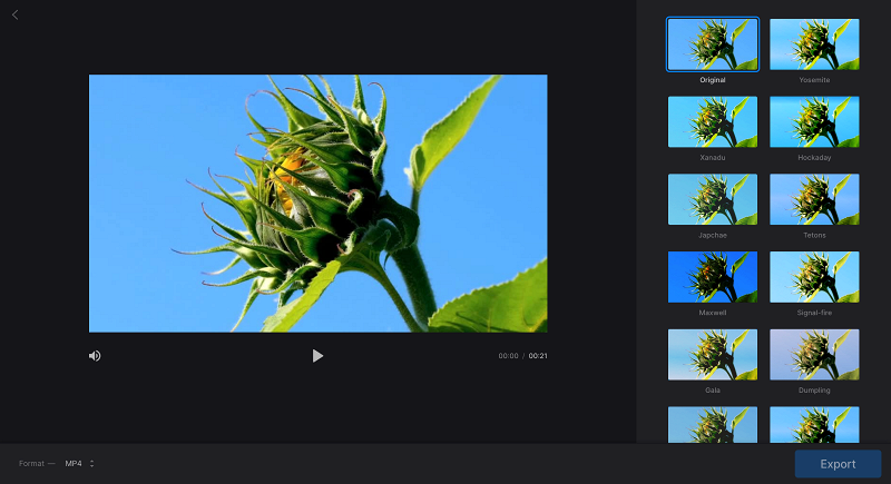 File to make black-and-white video in filter tool