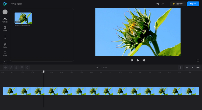 File to make black-and-white video in Video Editor