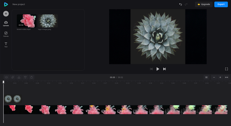 Files for video with logo