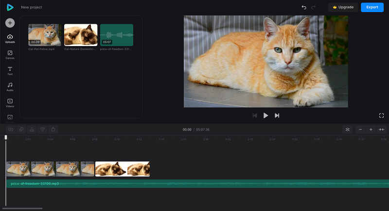 Files to flip and rotate in video