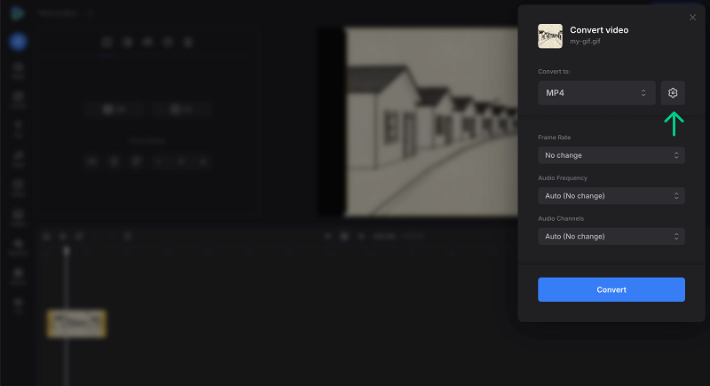 GIF to video converter settings