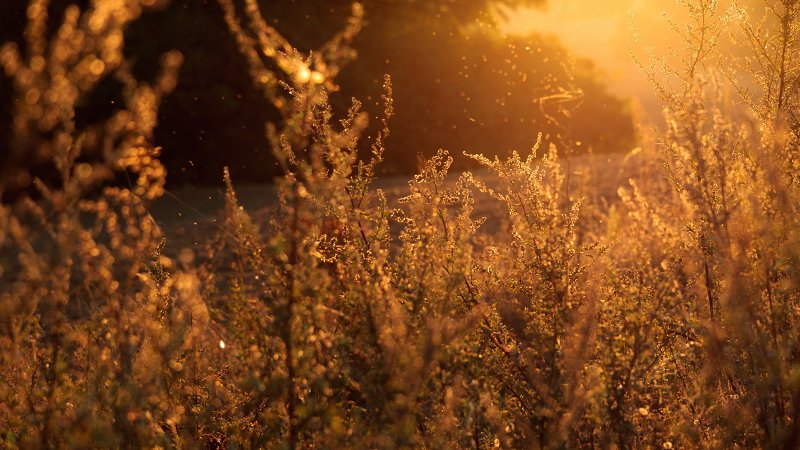 Golden Hour vs Blue Hour example in photography