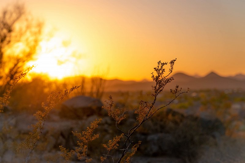 How to use Golden Hour in photo and video