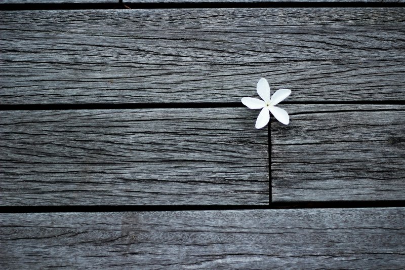 Insert shot composition with rule of thirds
