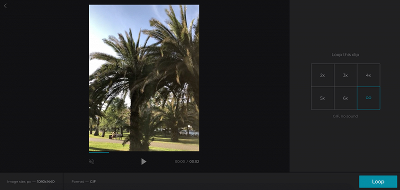 Make GIF by looping Android video