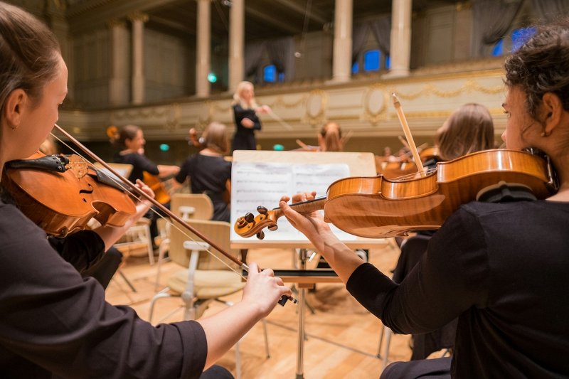 Mid sound frequency violins