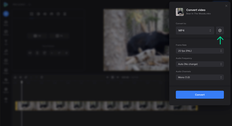 Change MP4 converter settings MKV to MP4 video converter settings