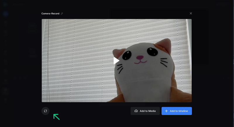 Playback webcam test