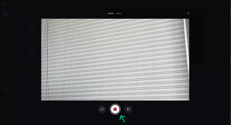 Record camera online