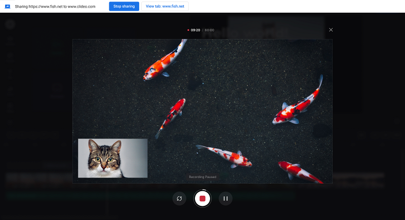Record screen and webcam