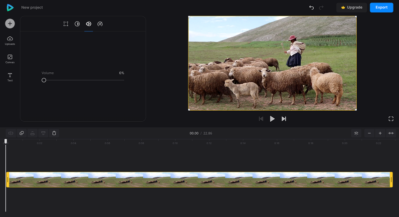 Take sound out of video Remove audio from video