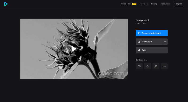 Save black-and-white video from Video Editor