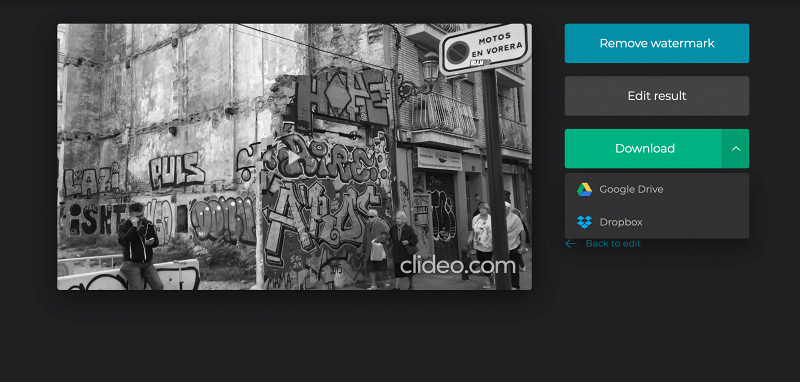 Download the grayscale video to your device