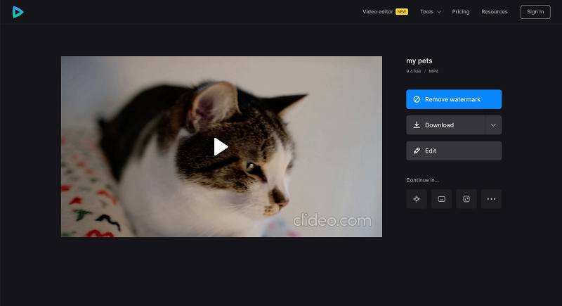Save file with funny pet video