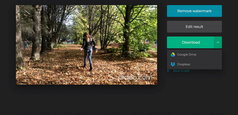 Download made timelapse video