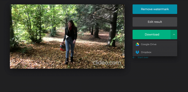Save muted video on Windows Download video with removed audio on Windows