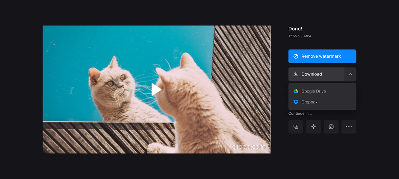 Download video podcast Edit audio in podcast video