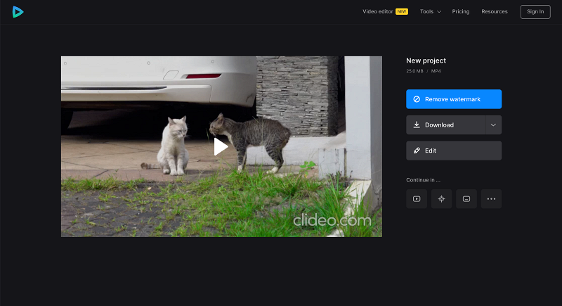 Download video with music in video editor Save video clip with background music in video editor