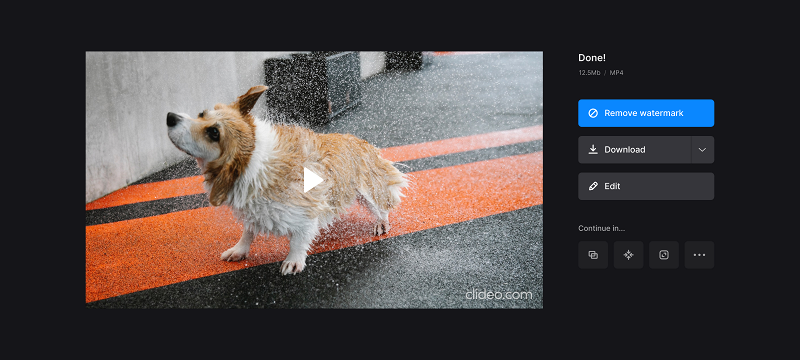 Save video with reverse effect
