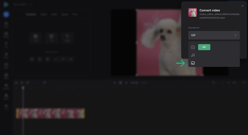 Convert video to GIF image