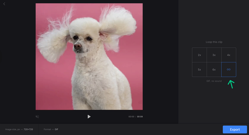 Select loop seetings in video looper