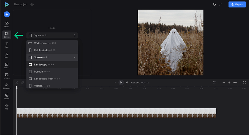 Set canvas to make Halloween gif party invitations