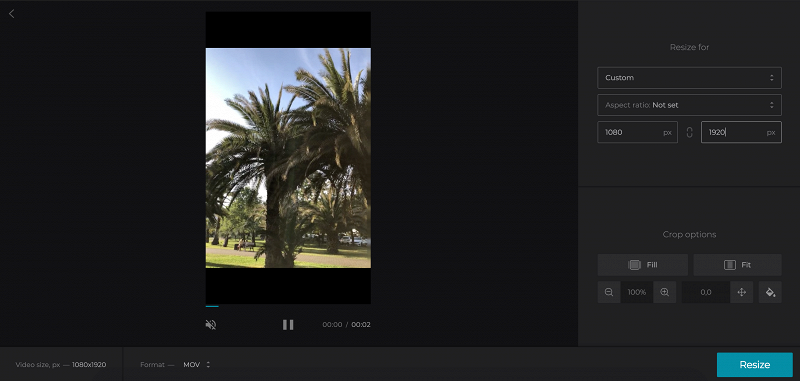 Set dimensions for TikTok video