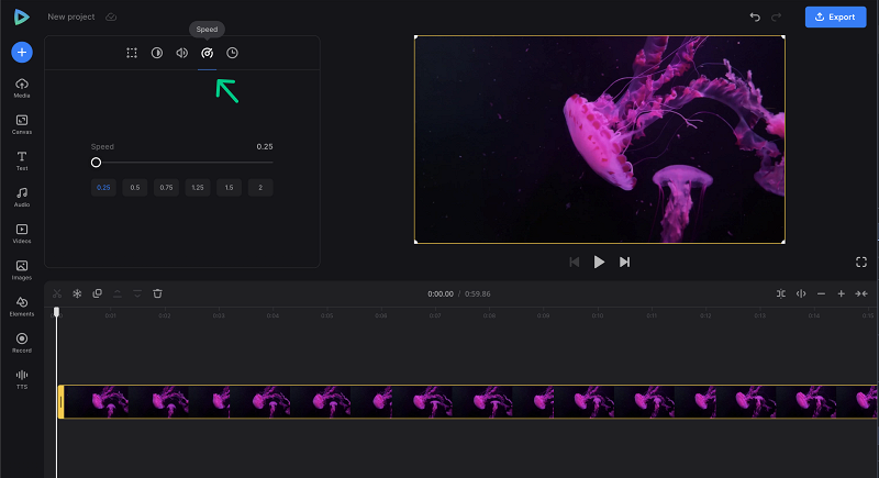 Slow down audio and video