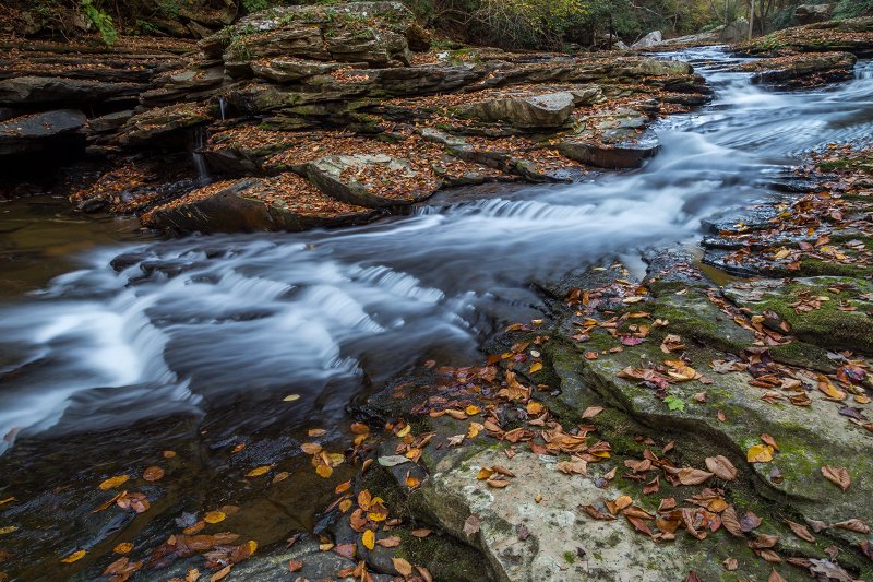 Slow shutter priority mode photo example