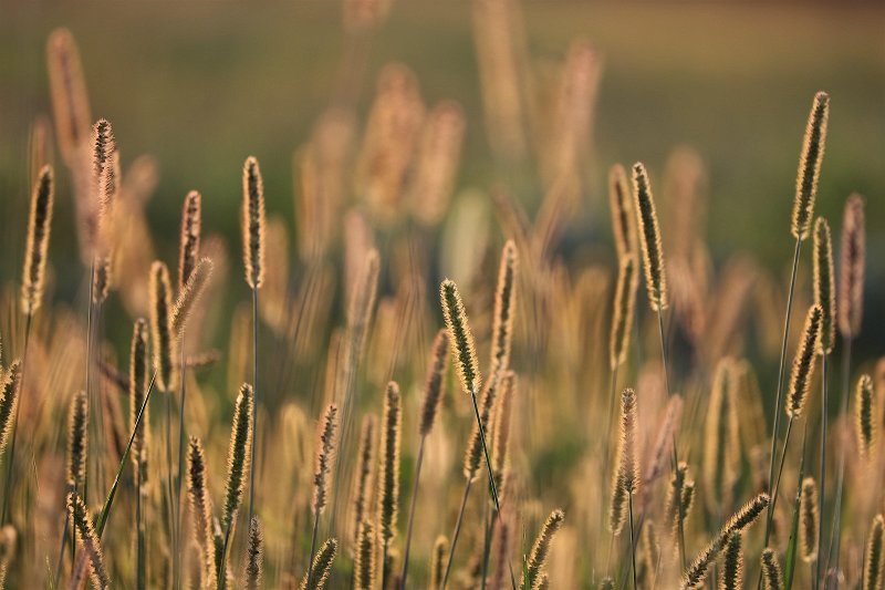 Soft lighting example