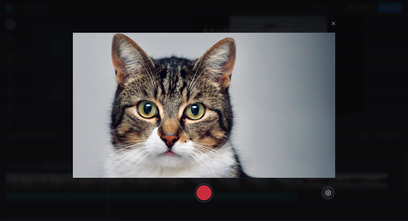 Start webcam video recording
